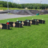 ฟรี! บัตรเข้าสนาม Green Park Pump Track & Cafe (Rayong) เมื่อยอดครบ 500.- - Image 7